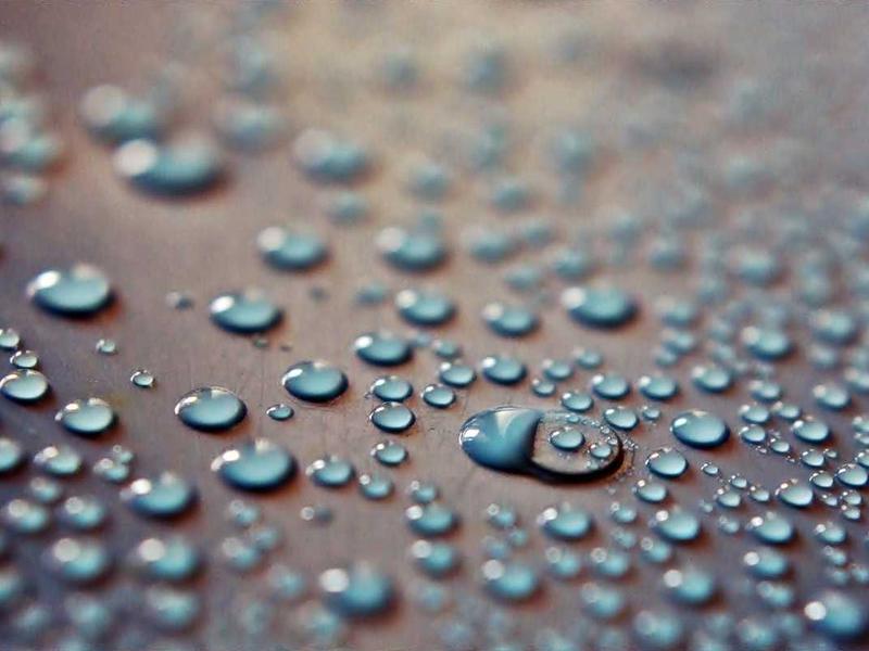 恋爱脑切除<br>hzldzsi.cn 多巴胺戒断
